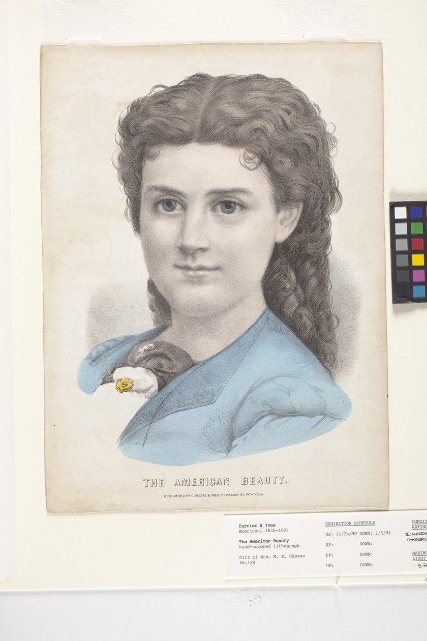 アメリカンビューティー（手彩色リトグラフ） 作： N. and Ives JM (1824 95) Currier
