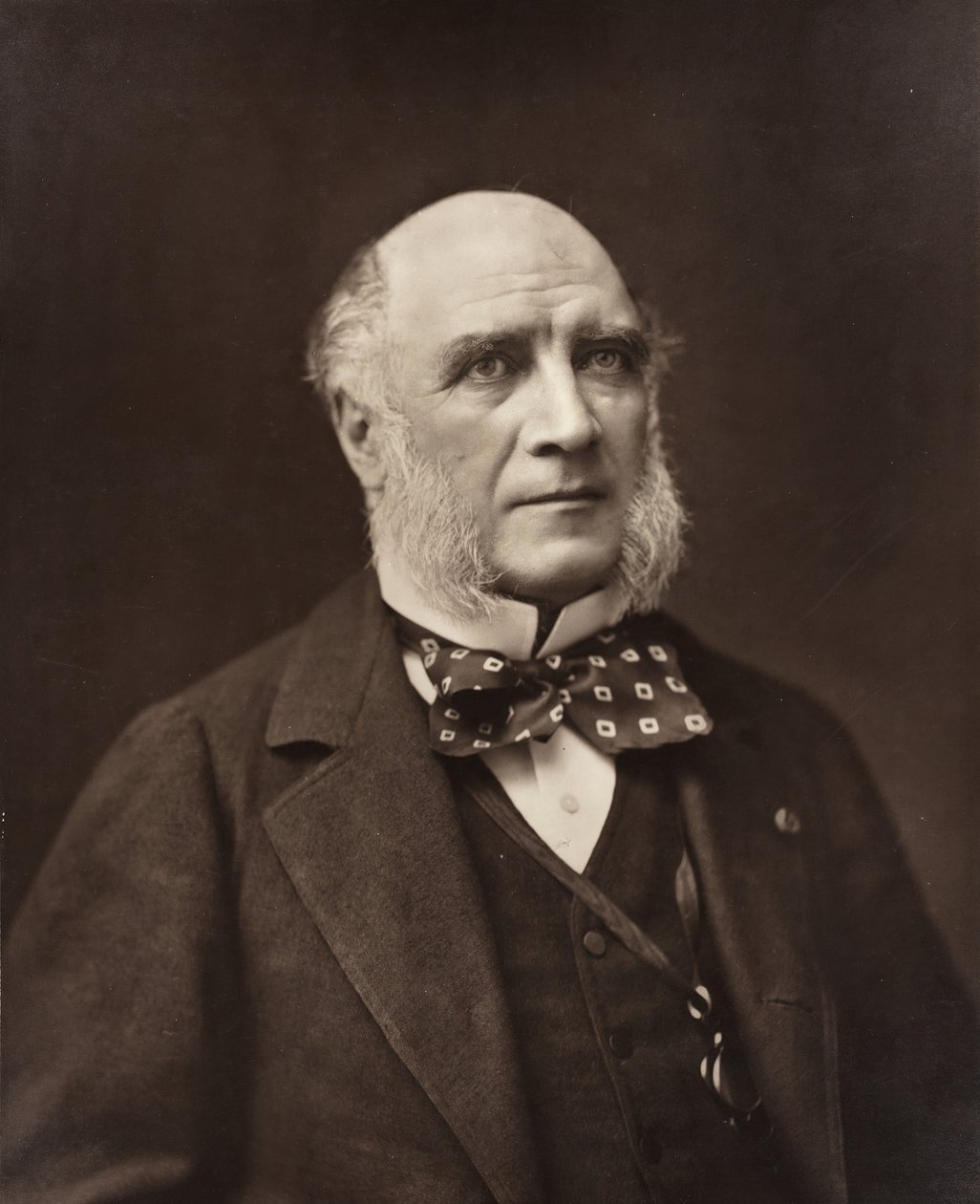 Élie-Louis、公爵 Decazes フランスの政治家および外交官、1819-1886 年、c. 185377. 作： ナダール