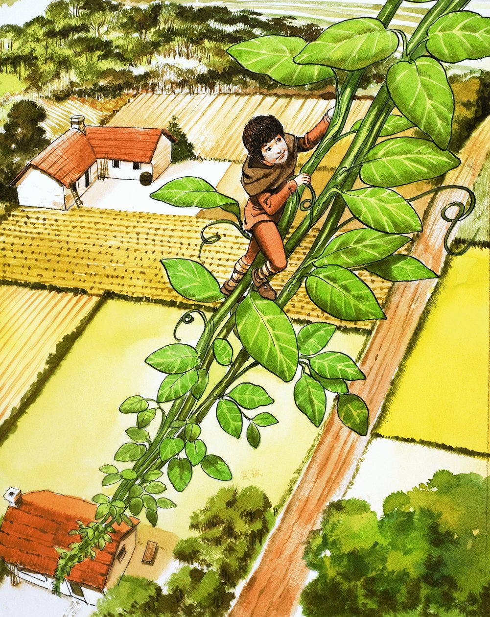 ジャックと豆の木 作： ナディール・クイント