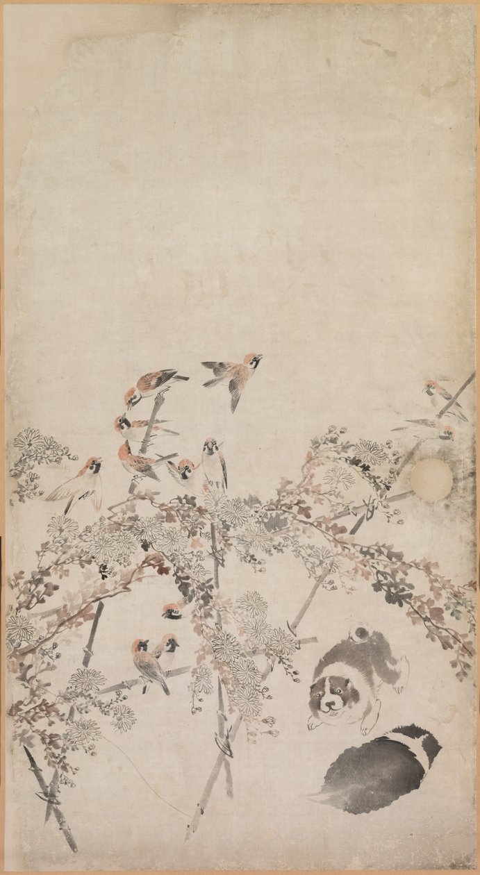 子犬、スズメ、菊、1754年から1799年。 作： 長沢ロゼツ