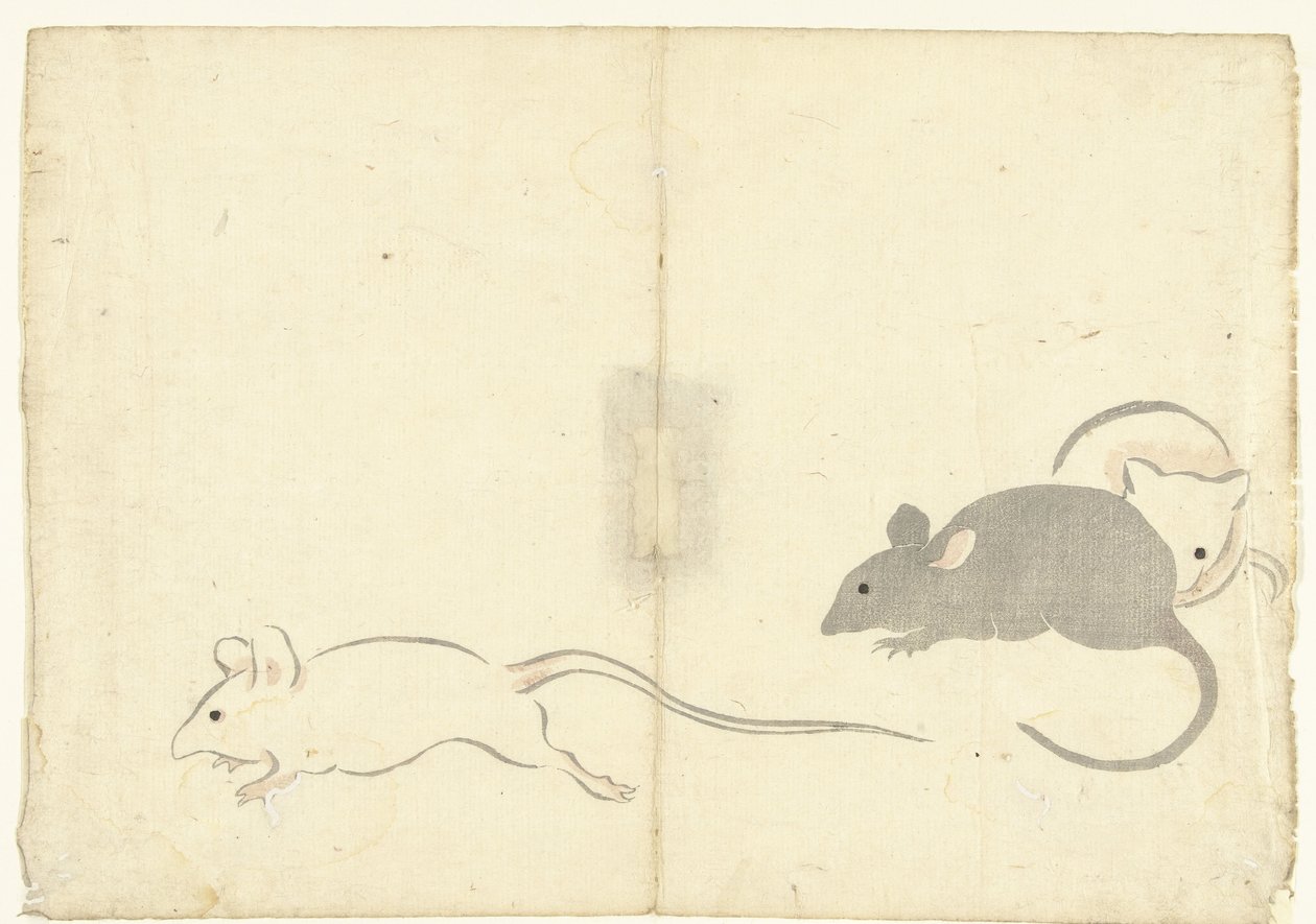 三匹のネズミ 光琳の画集（連載タイトル） 光琳がうう（連載タイトル） 作： 中村法中