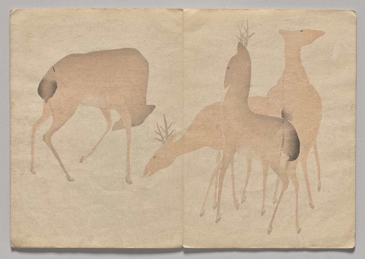 光琳絵本（上巻）の一場面 作： 中村法中