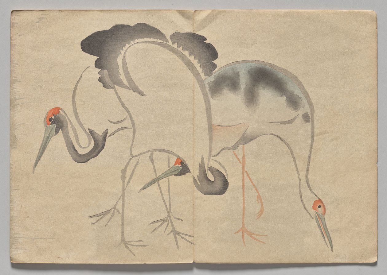 光琳絵本（下巻）の一場面 作： 中村法中
