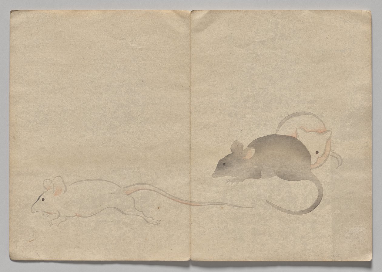 光琳絵本（下巻）の一場面 作： 中村法中