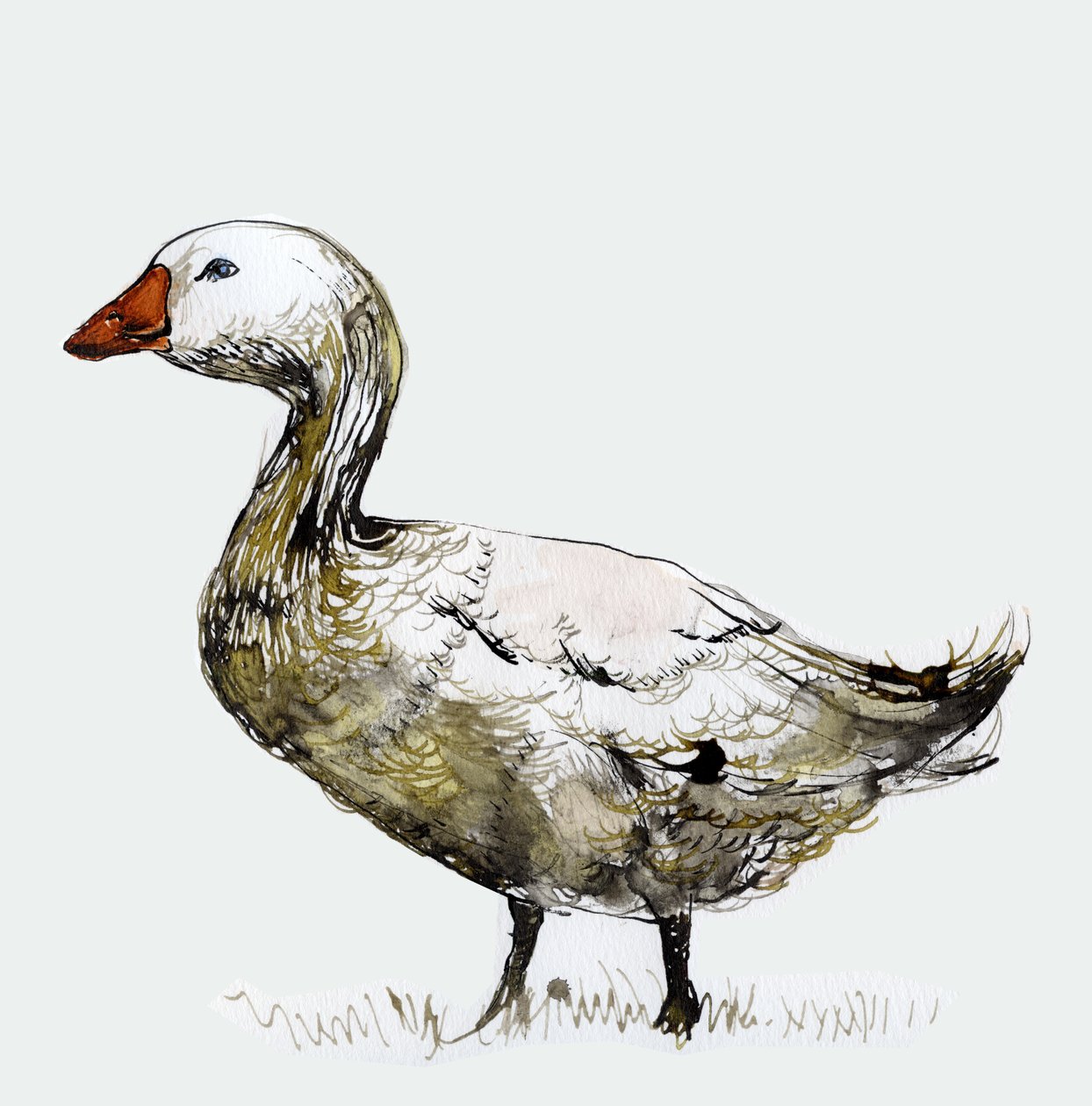 Filthy Goose、2017年、紙にインク 作： ナンシーモニスチャラランブー
