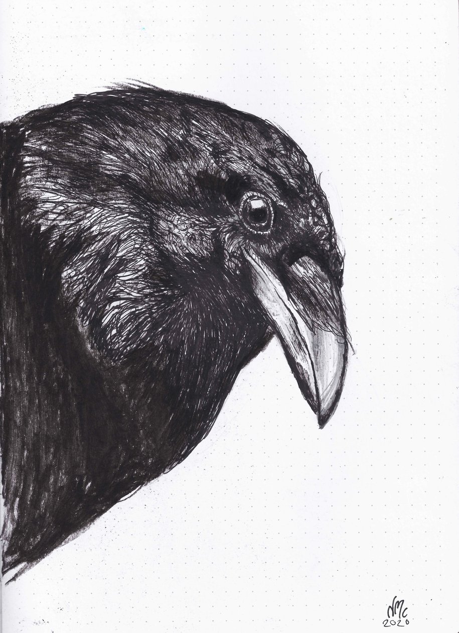 カラスかカラスか、2020年 作： ナンシーモニスチャラランブー