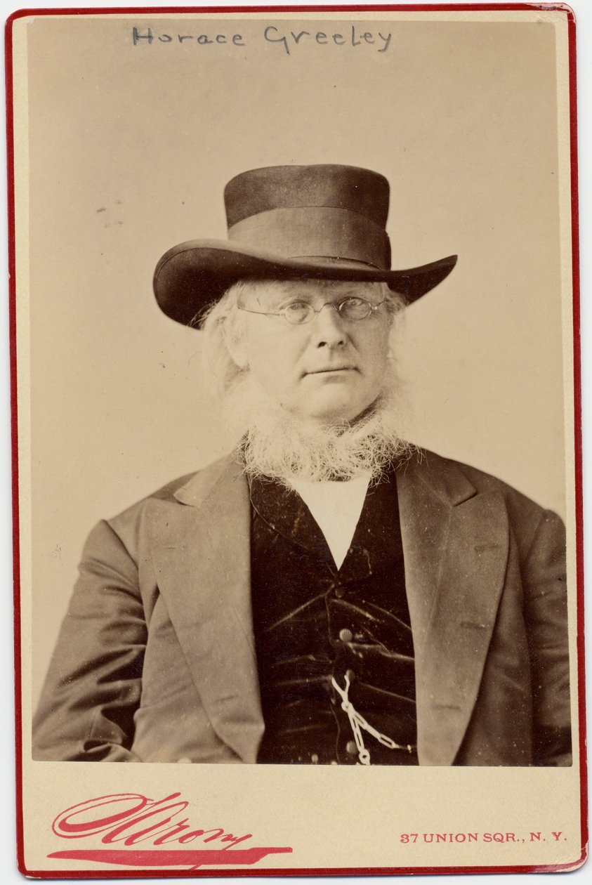 ホレス・グリーリー（1811-72）、米国の政治家および新聞編集者（アルブメン写真） 作： ナポレオンサロニー