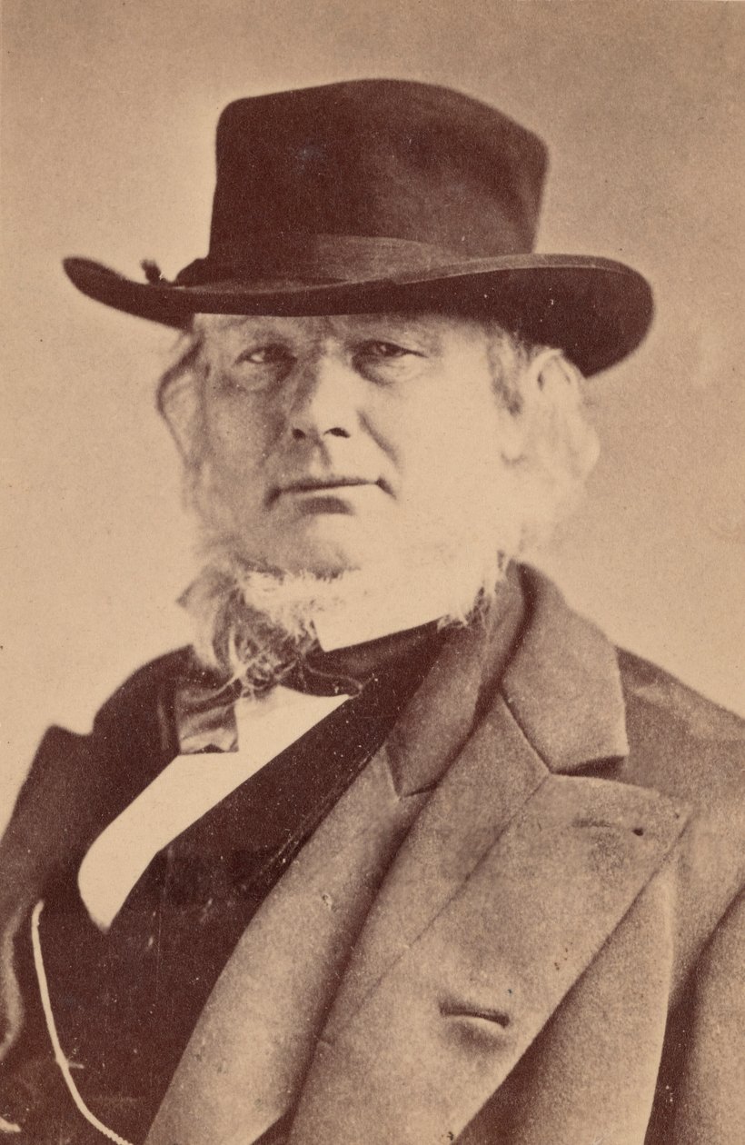 ホレス・グリーリーの肖像、1811～1872年、1869年。 作： ナポレオンサロニー