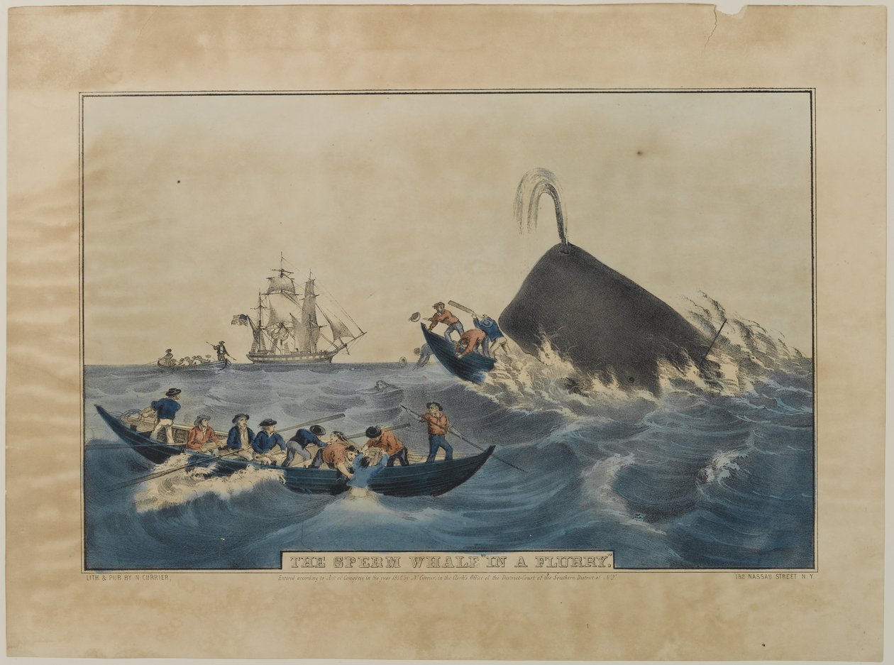 フライヤーの中のマッコウクジラ、N。Currier、1852年 作： ナサニエル・キュリア