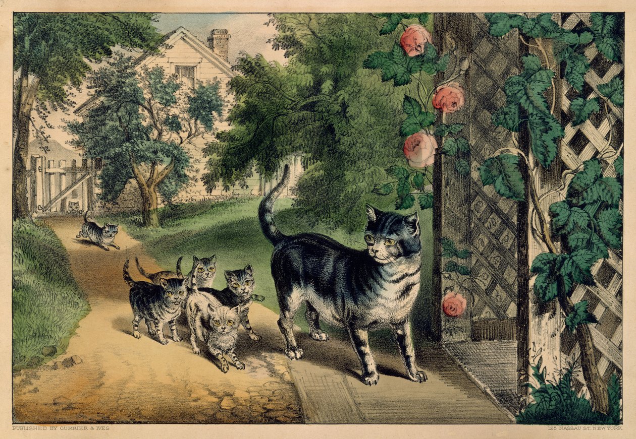 プッシーズ リターン、1874-78 年、1874-78 年。 作成者: ナサニエル カリアー、ジェームズ メリット アイヴス、カリアー アンド アイヴス。 作： キュリアーとアイブス