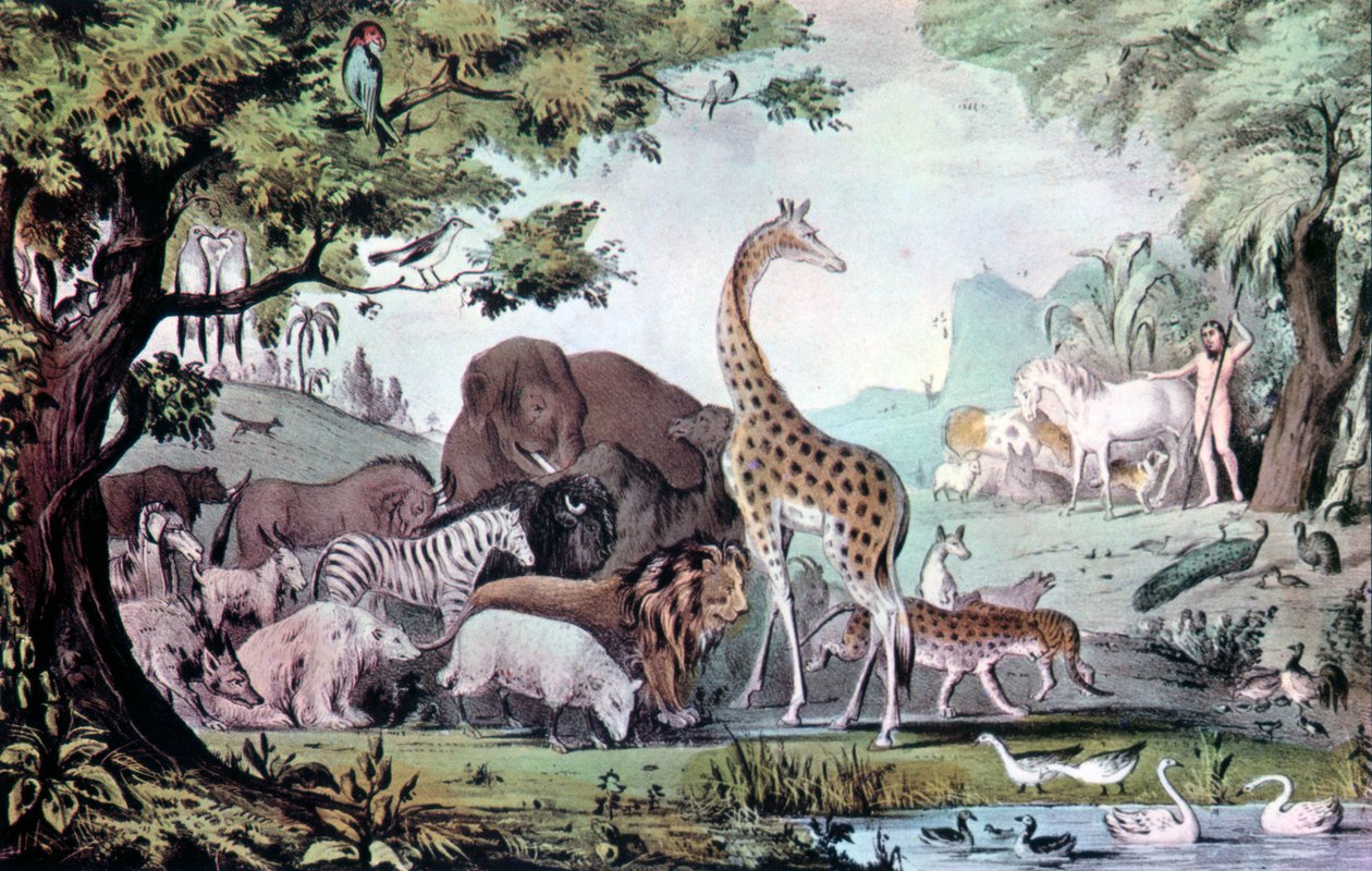 アダム・ネーミング・ザ・クリーチャーズ、1847年。 作： ナサニエル・キュリア