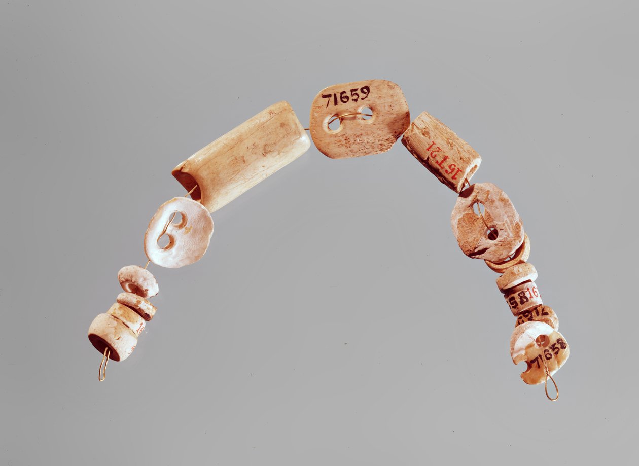 ネックレスまたはブレスレット、セーヌオワーズマルヌ文化、紀元前2800年〜2000年（骨と石灰岩） 作： 新石器時代