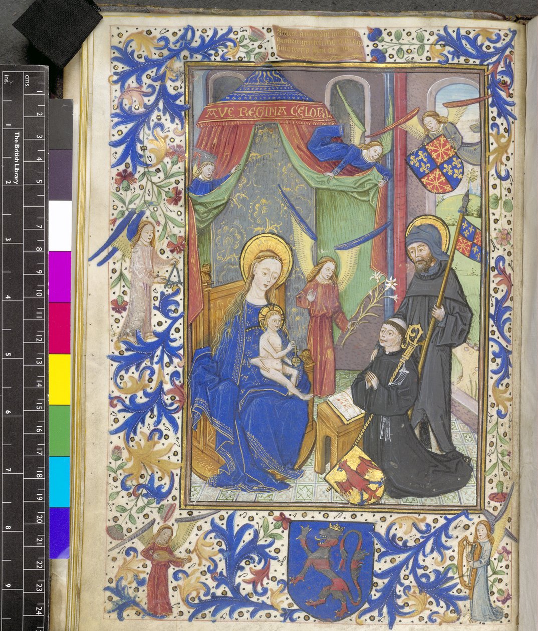 追加 17440 f.13v 百合の聖母、守護聖人ウィレム・ヴァン・ボッサント、ゲント・ミサ典書より 作： オランダの学校