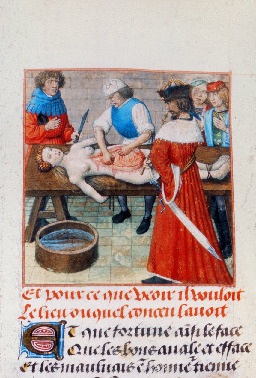 Harl 4425 ネロと彼の母親、「Roman de la Rose」、ブルージュ、c.1490-1500 (ベラム) 作： オランダの学校