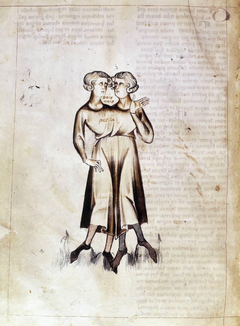Sloane 3983 f.8v Jafar ibn Muhammad (vellum) によるペルシャの占星術論文の翻訳からのジェミニの描画 作： オランダの学校