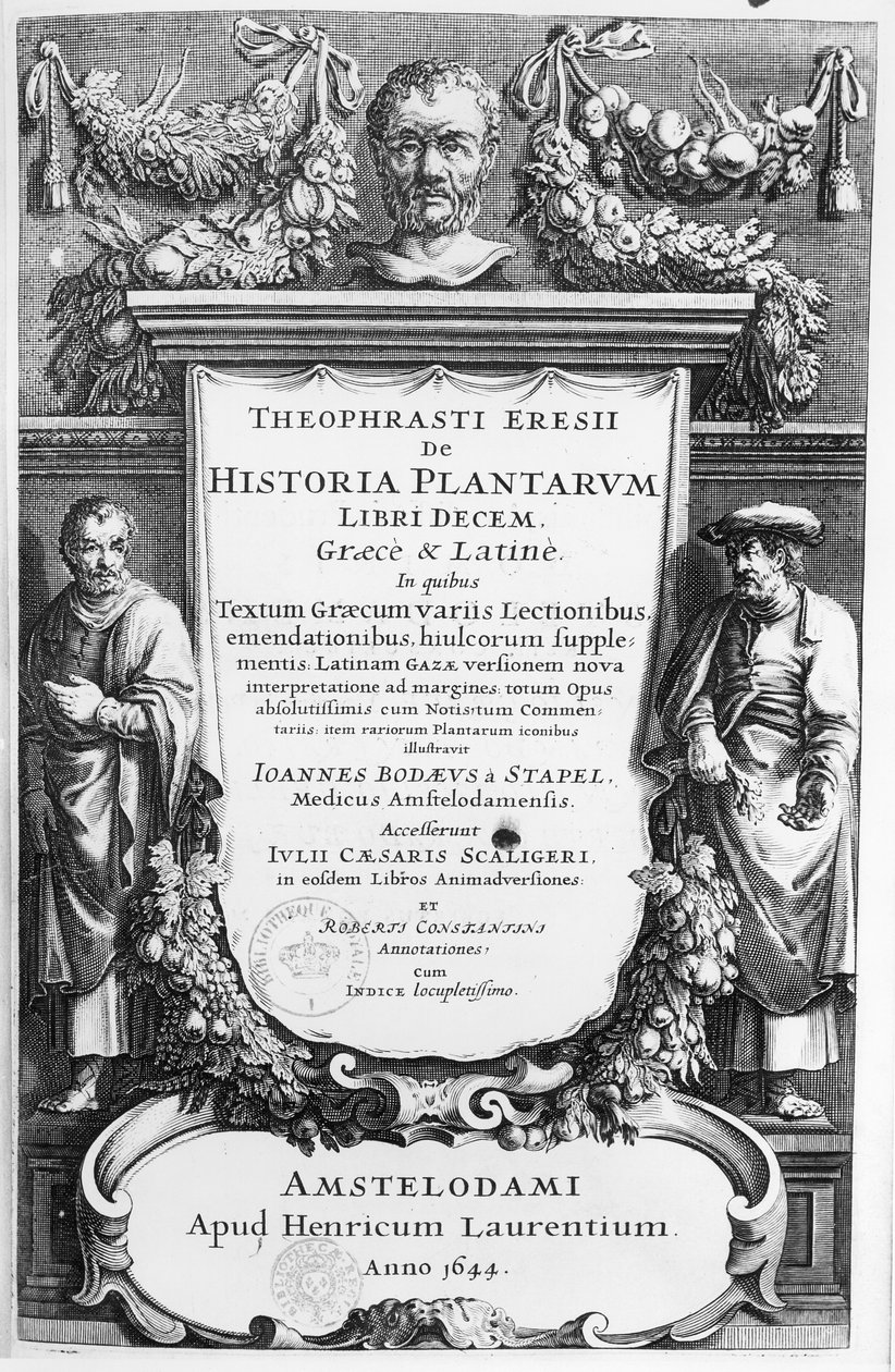 Theophrastus（c.372-c.287 BC）による植物の歴史のボリュームインデックス、1644年にアムステルダムで公開 作： オランダの学校