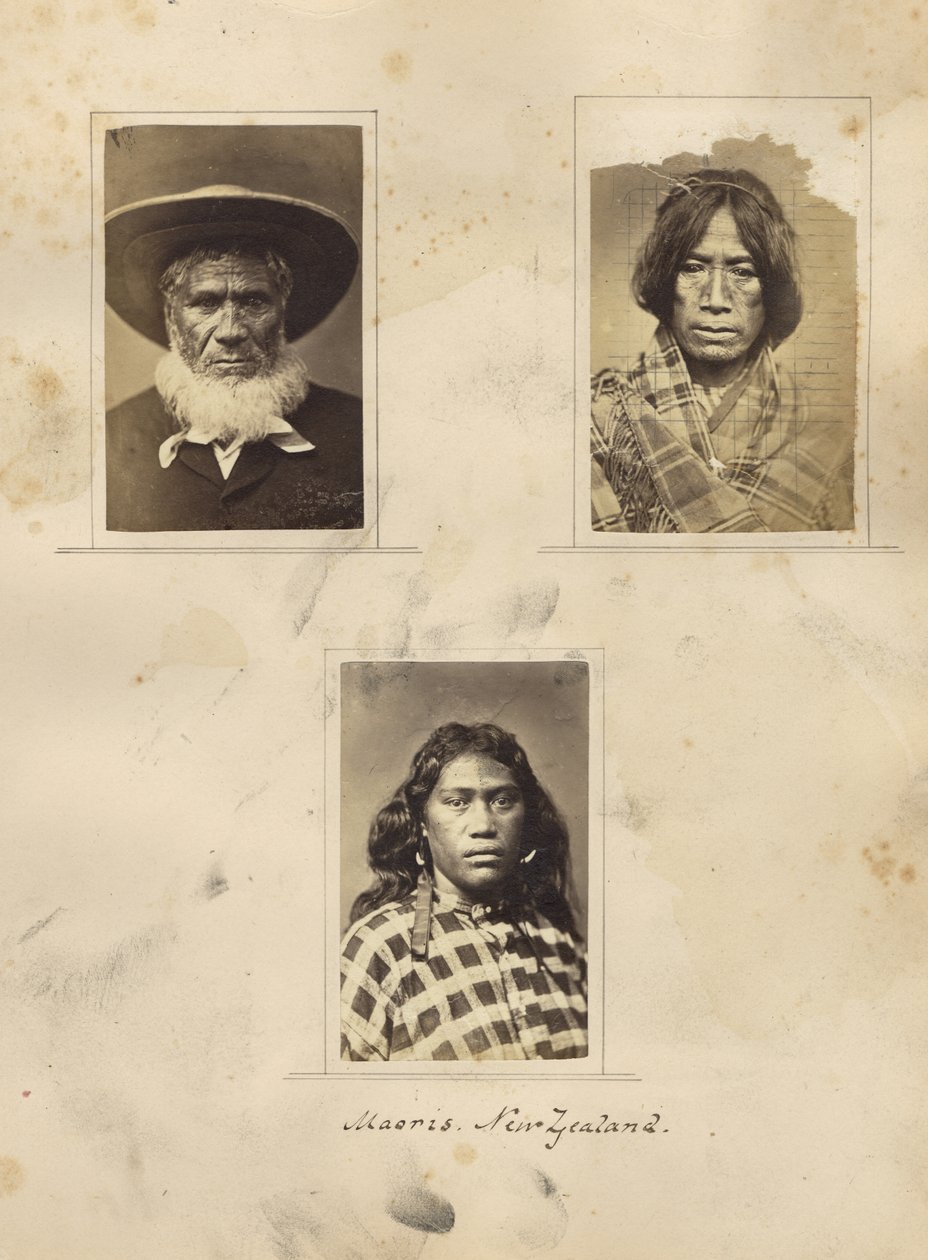 ニュージーランド、マオリス、1865年頃（アルブメンプリント） 作： ニュージーランドの写真家