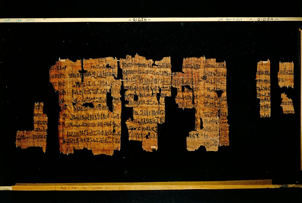 ファラオ・トットモース3世の証書を記した文書の断片（パピルス 作： 新王国エジプト人