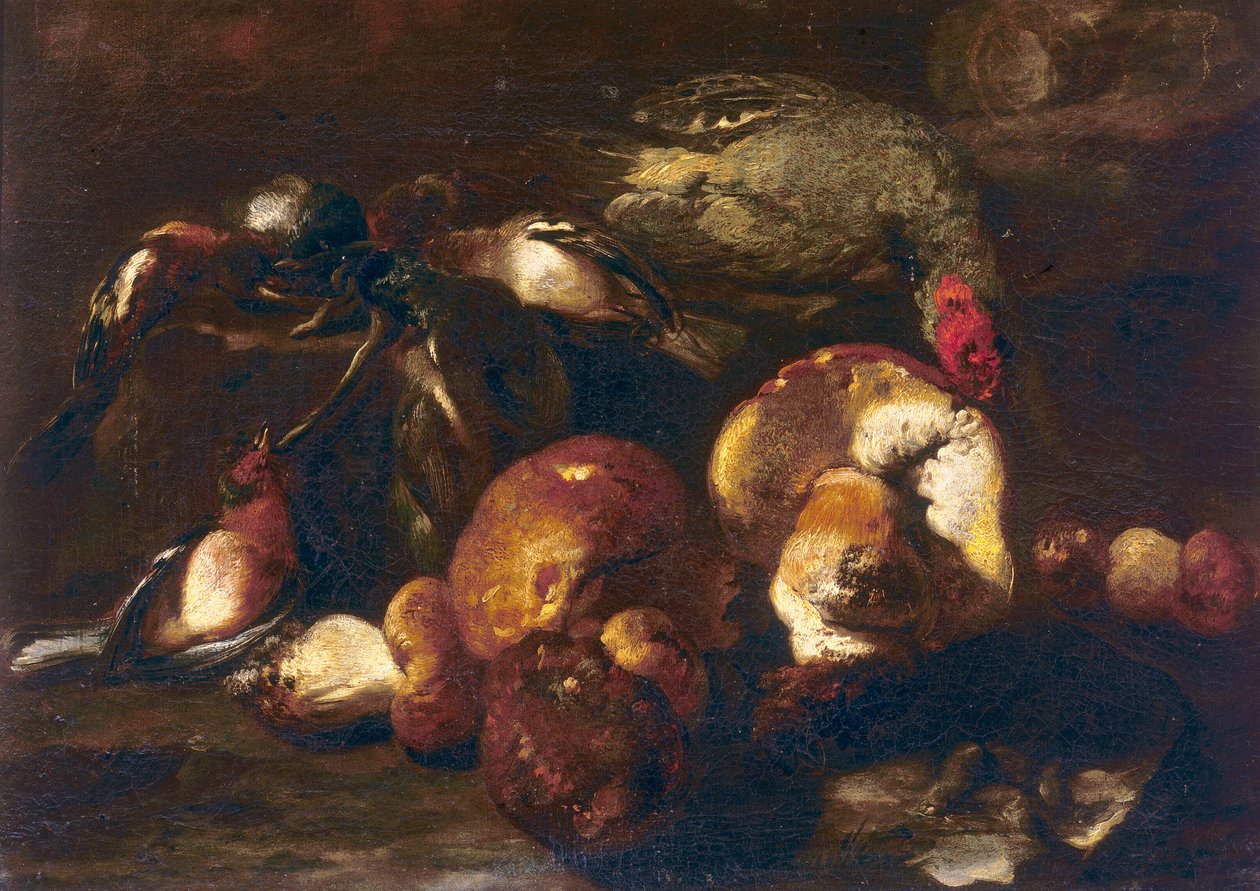 鳥とキノコ 作： ニカシウス1620 78ベルナール