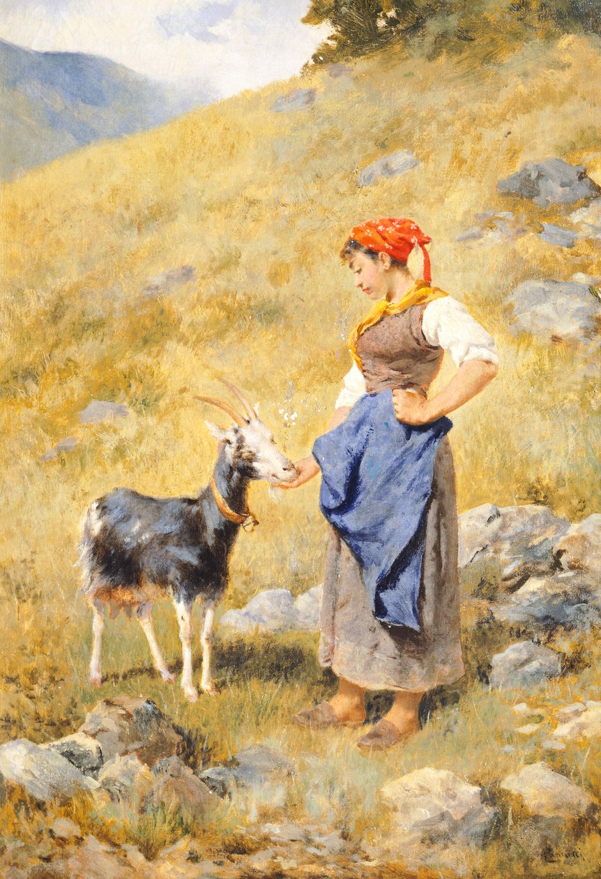 Paimentar, kirjoittanut Niccolo Cannicci (1846-1906) 作： ニコロ・カンニッチ