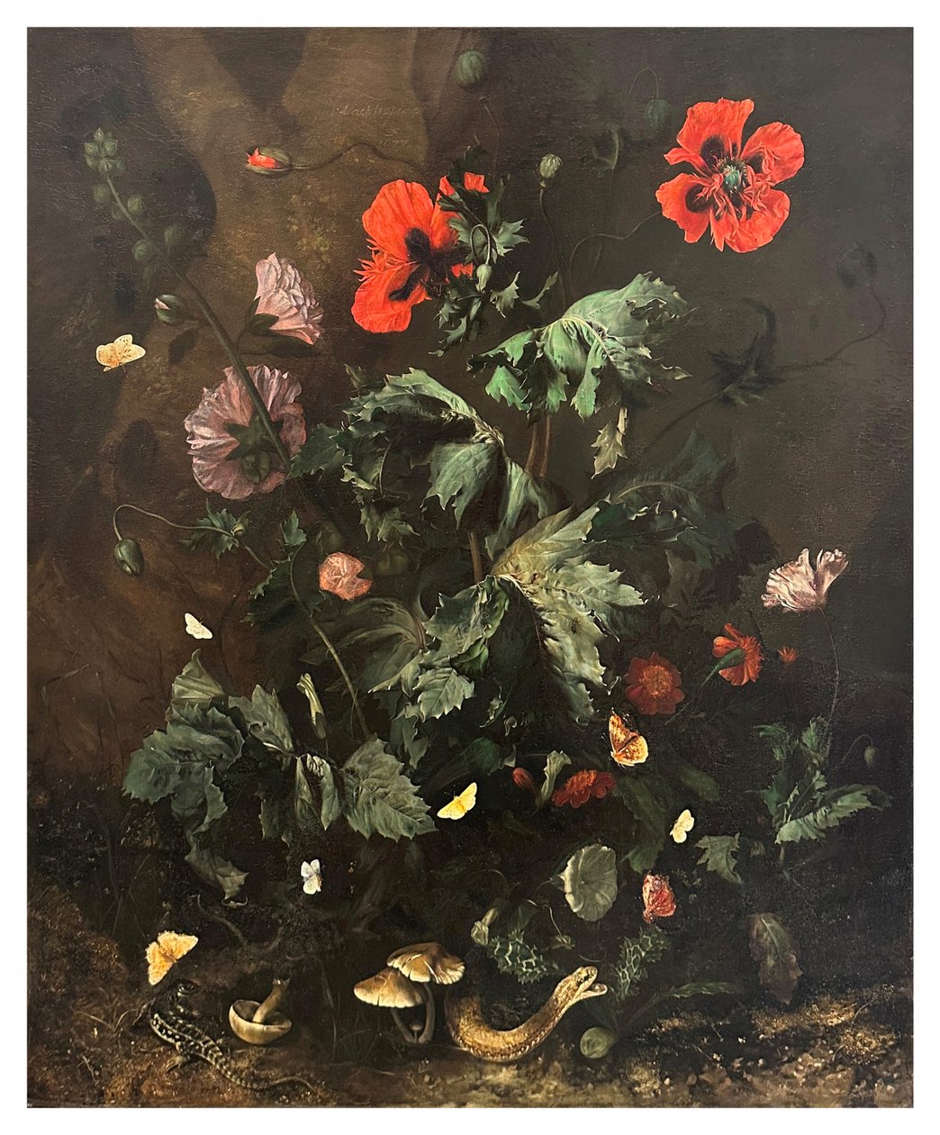 花と蝶と爬虫類のいる森の床 1656-1700年頃 油彩・カンヴァス 作： Nicolaes Lachtropius