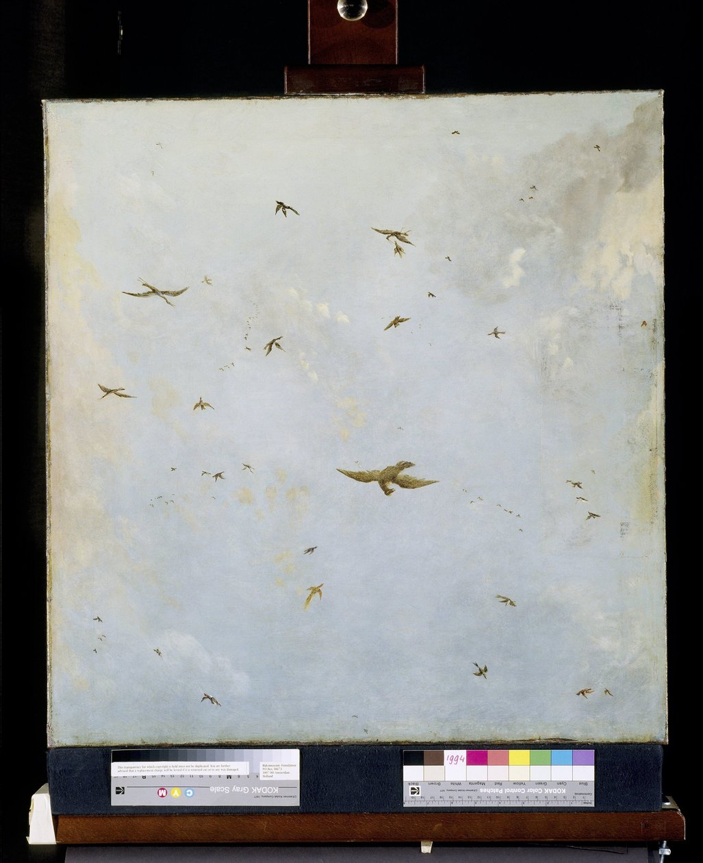 ドールハウス 天井画 曇り空の鳥たち 作： Nicolaes Piemont（に帰属）