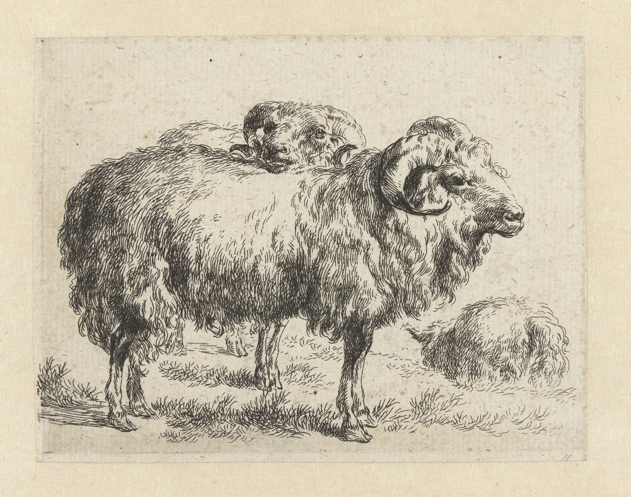 Twee rammen en een schaap シャーペン（シリーズタイトル） ニコライ・ベルヘムのスタジオとアートによる生き生きとした動物と水でプリントされた強い空気感 (シリーズ タイトル) 作： ニコラス・ピーターシュ・ベルヘム