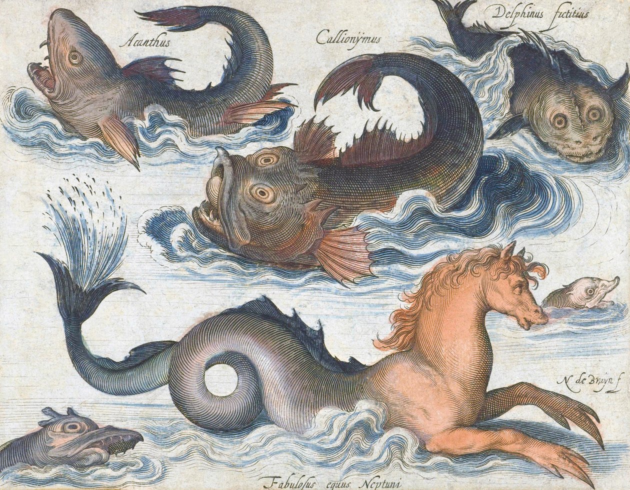 絵 「不思議な生き物」 タツノオトシゴと架空の水生生物