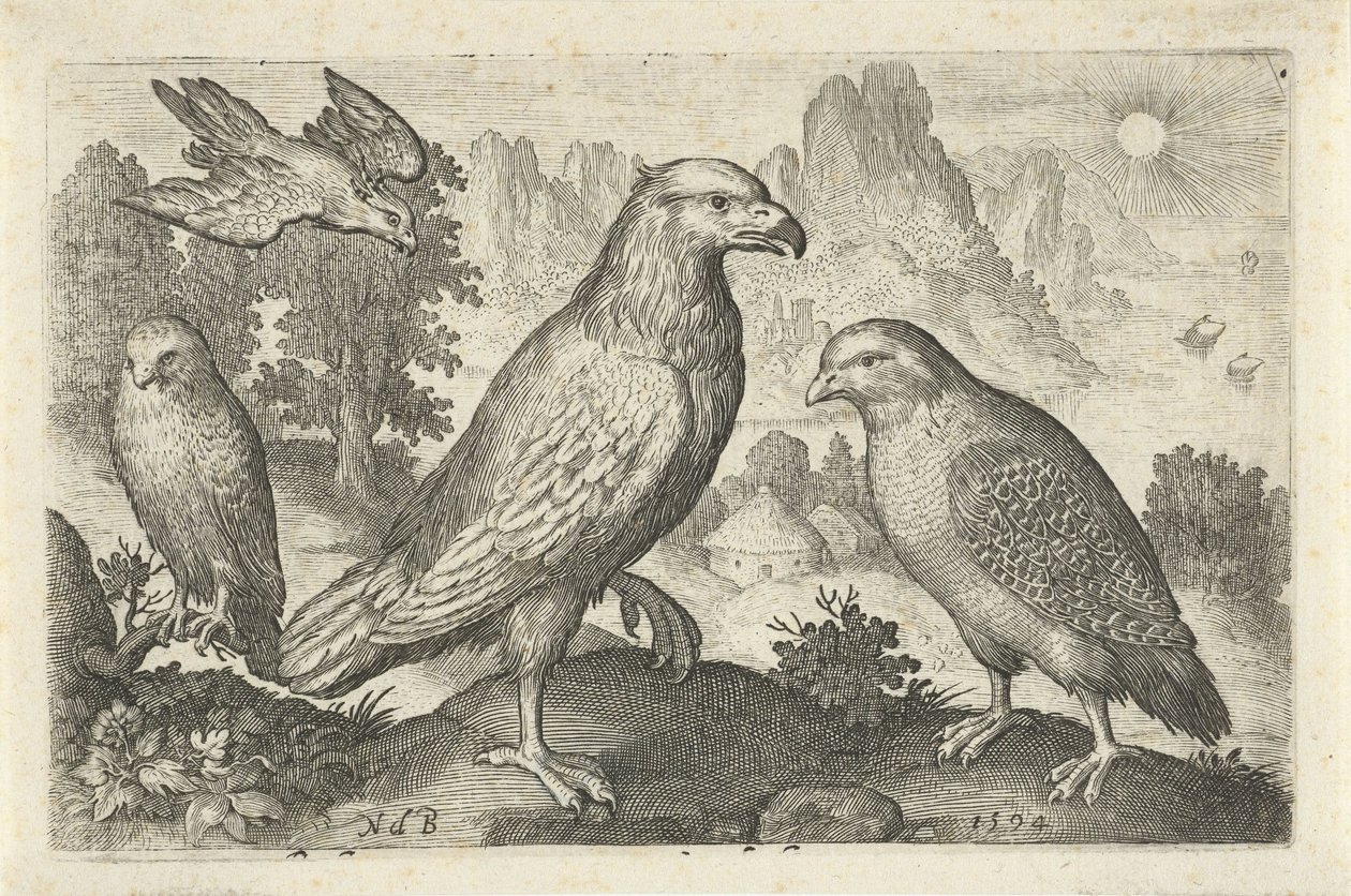ワシやその他の猛禽類 鳥と虫（連載タイトル） 作： ニコラ・ド・ブルーイン