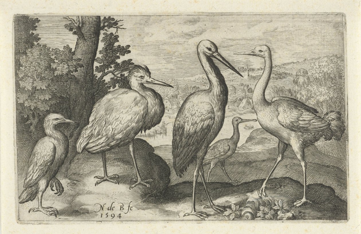 コウノトリ、ツル、サギ、ヘラサギ 鳥と虫（連載タイトル） 作： ニコラ・ド・ブルーイン