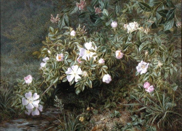 犬の薔薇の習作」1900年頃（油彩・キャンバス） 作： ニールス・ピーター・ラスムッセン