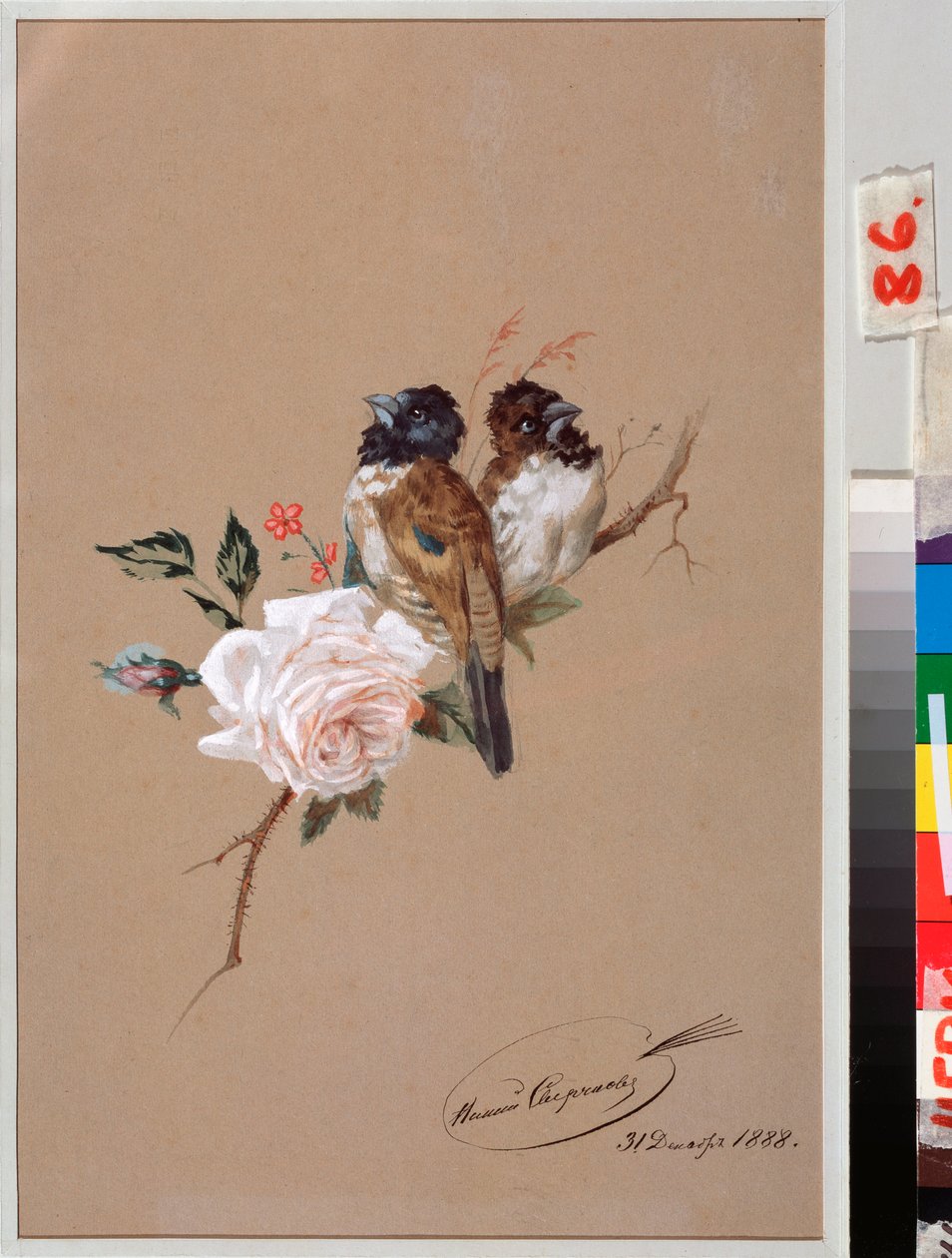 バラの上の二羽の鳥 - ニコライ・イェゴロヴィッチ・スヴェルチコフ (ニコラス・スヴェルチコフ) (1817-1898) の作品、紙に水彩、インク 作： ニコライ・エゴレヴィチ・スヴェルチコフ