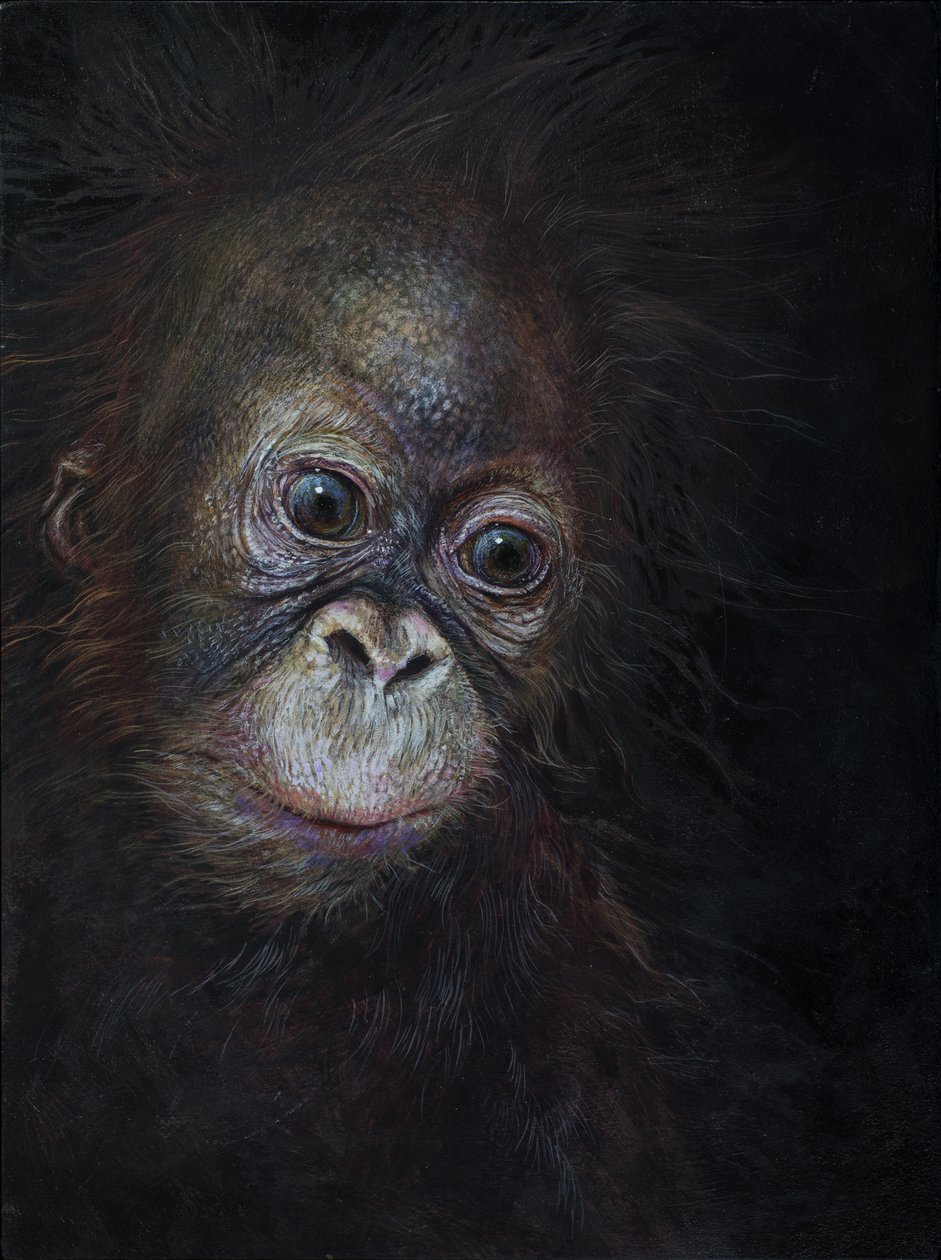 オランウータンの赤ちゃん 3, 2015 (アクリル、木) 作： オディール・キッド
