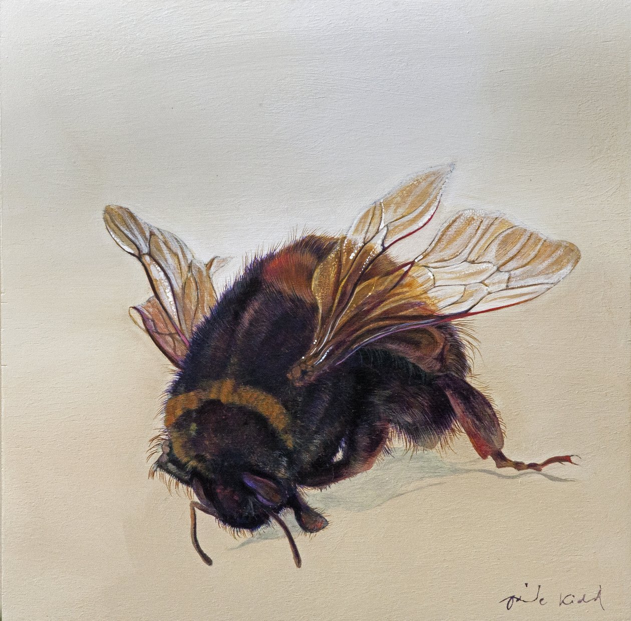 Bombus terrestris 10, 2013 (アクリル、木) 作： オディール・キッド