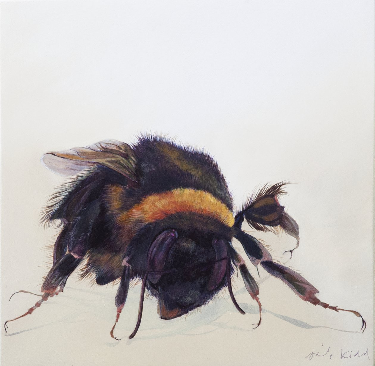 Bombus terrestris 9, 2013 (アクリル、木) 作： オディール・キッド