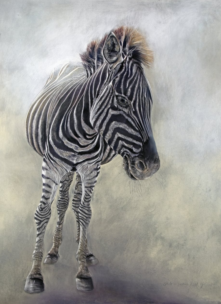 Equus burchelli 1, 2009 （木炭、コンテ、チョークパステル、ボッキングフォード紙） 作： オディール・キッド