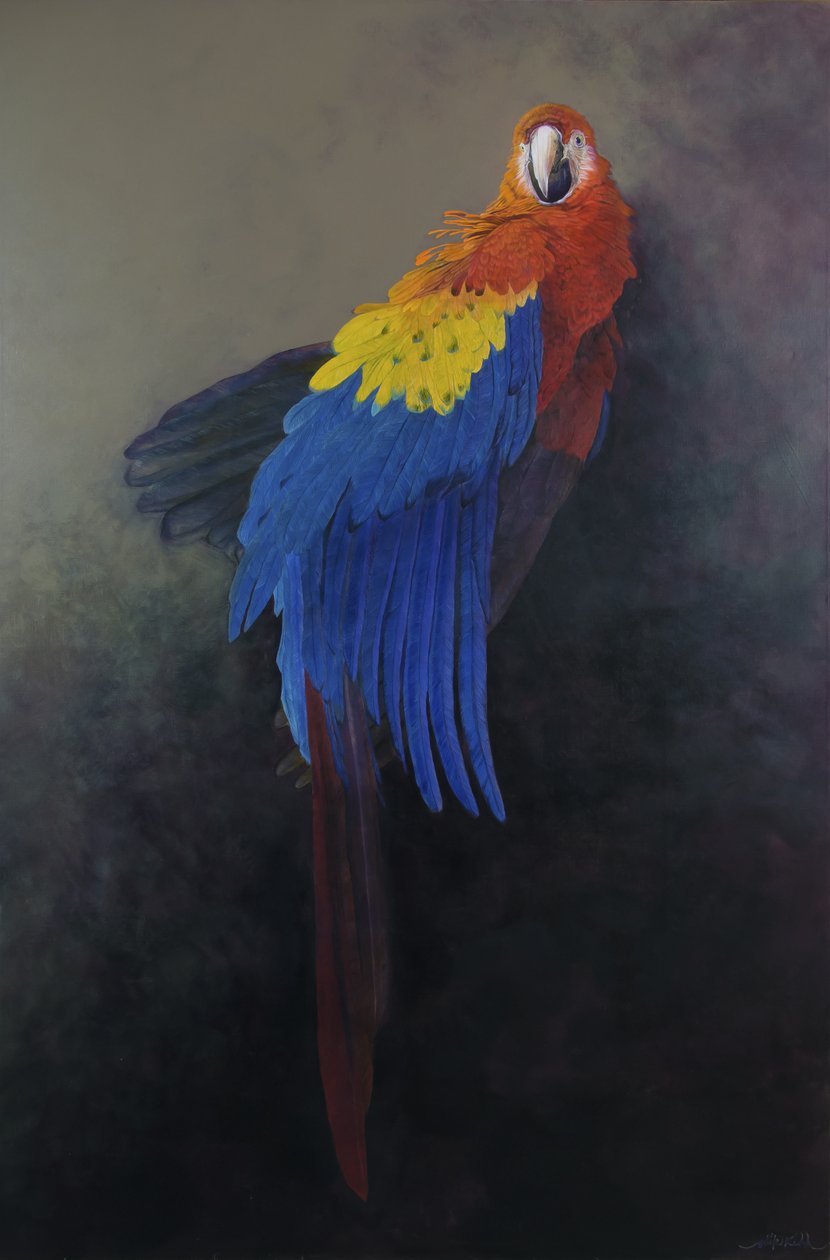 コンゴウインコ 3、2014（リネンにアクリル） 作： オディール・キッド