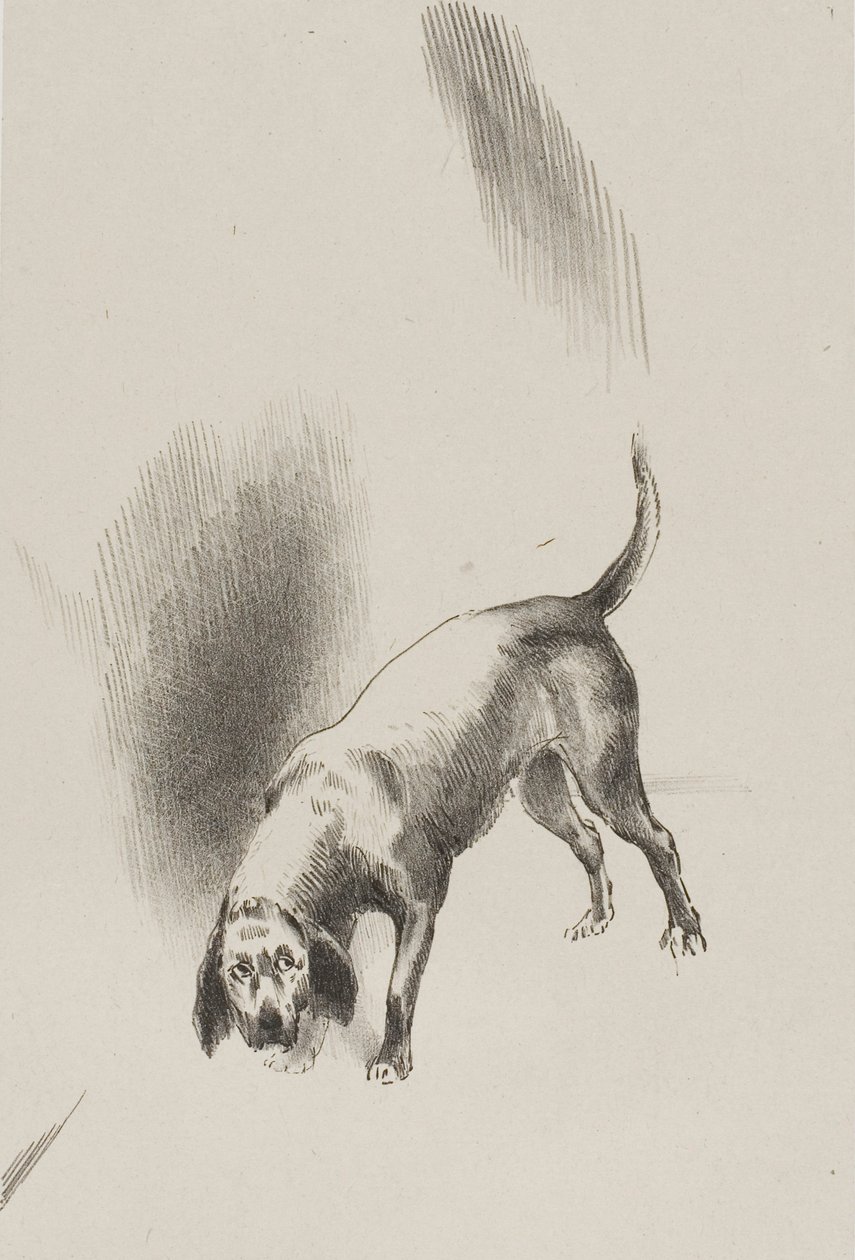 彼［ナレーターの犬］はとても奇妙な目つきで私を見つめ続けていた。 作： オディロン・ルドン