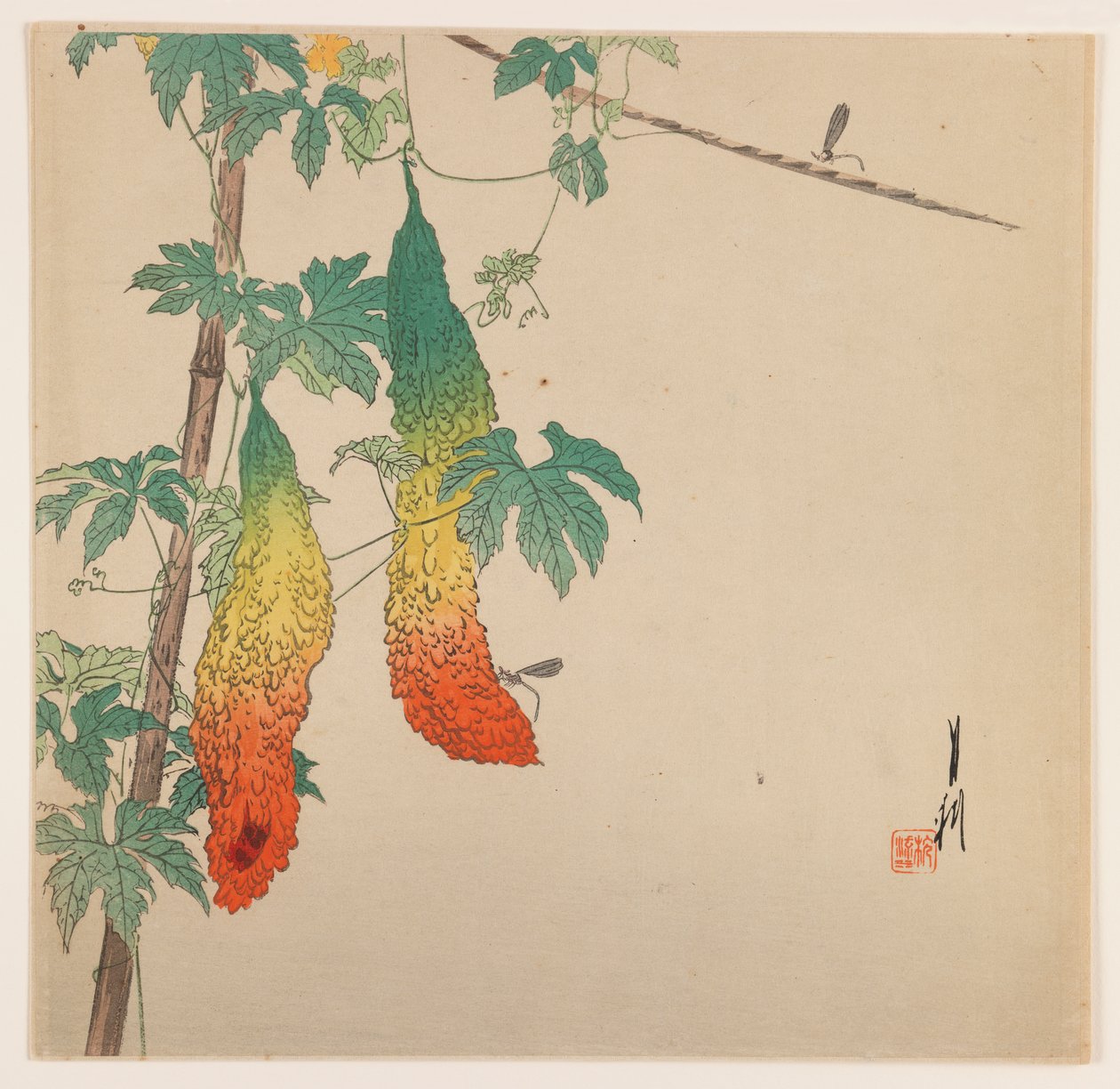 ひょうたんとワスプ、1890〜1910年（木版カラー印刷） 作： 尾形月光