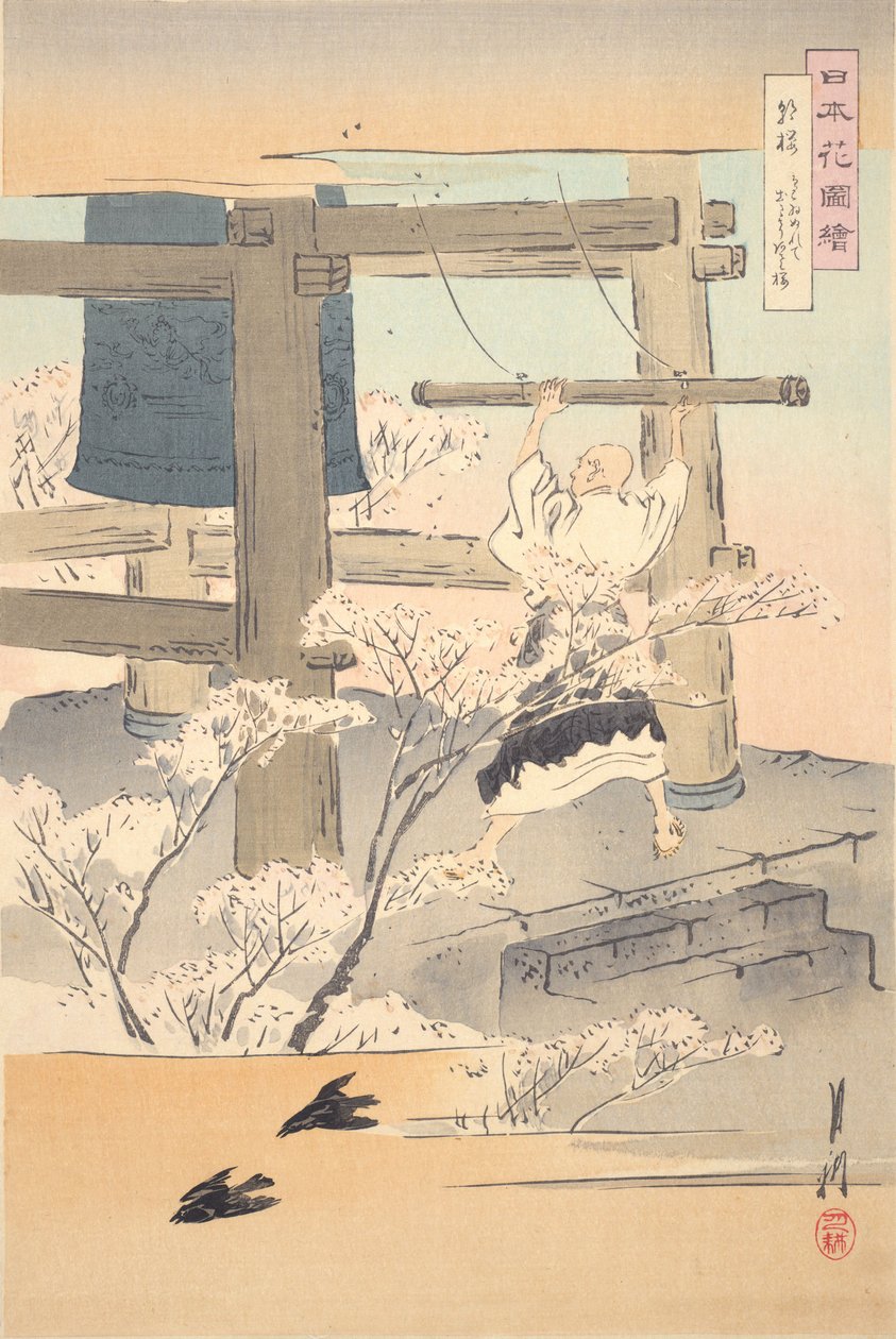 鐘を鳴らす僧侶：日本の花の絵 作： 尾形月光