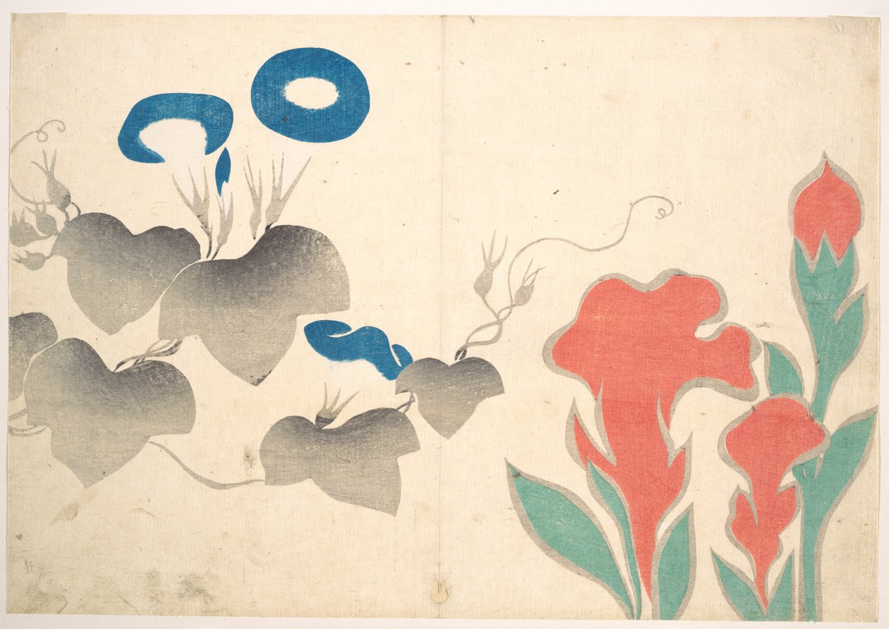 アサガオとその他の花の図案 作： 尾形光琳
