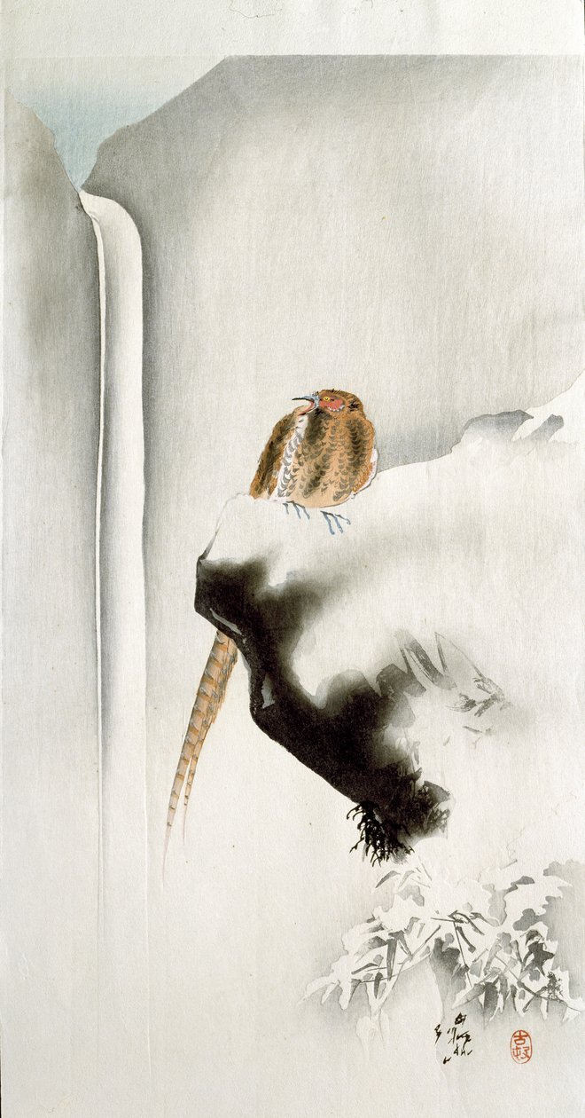 崖の端にあるキジ、背景に滝、1907年（色の木版画） 作： 大原光子