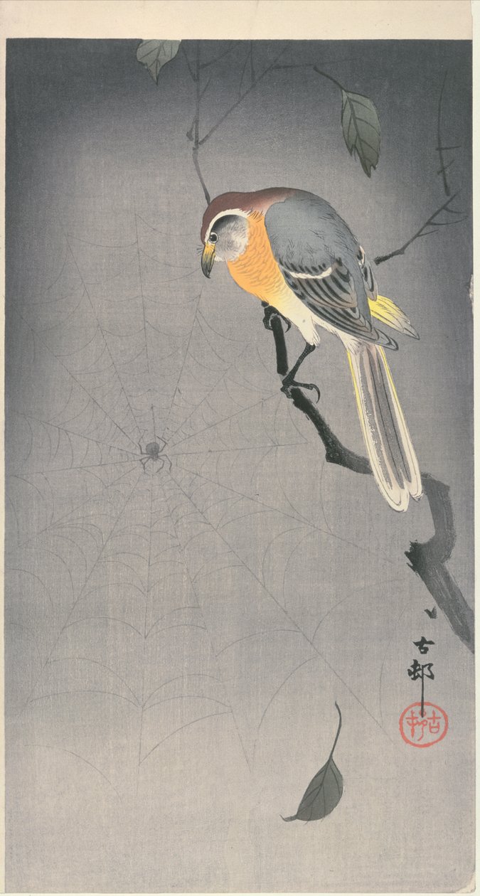 クモを見ている枝の鳥c。 1900年初頭（カラー木版画） 作： 大原光子