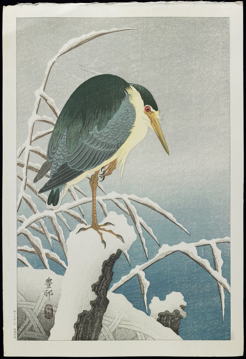 1930年代の雪の中の黒戴冠ゴイサギ 作： 大原光子