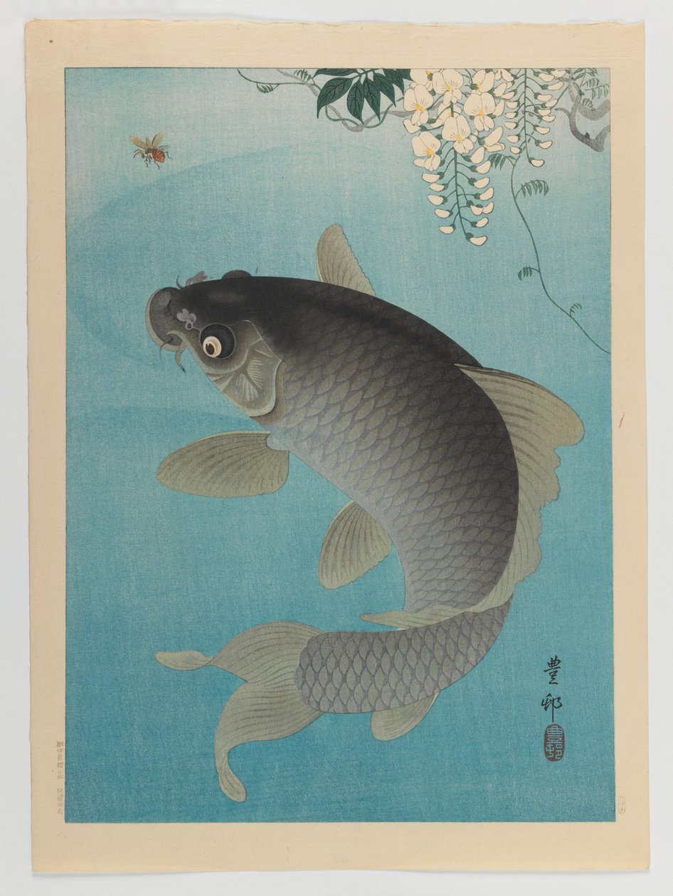 藤の下の鯉、1935年頃（木版カラー印刷） 作： 大原光子