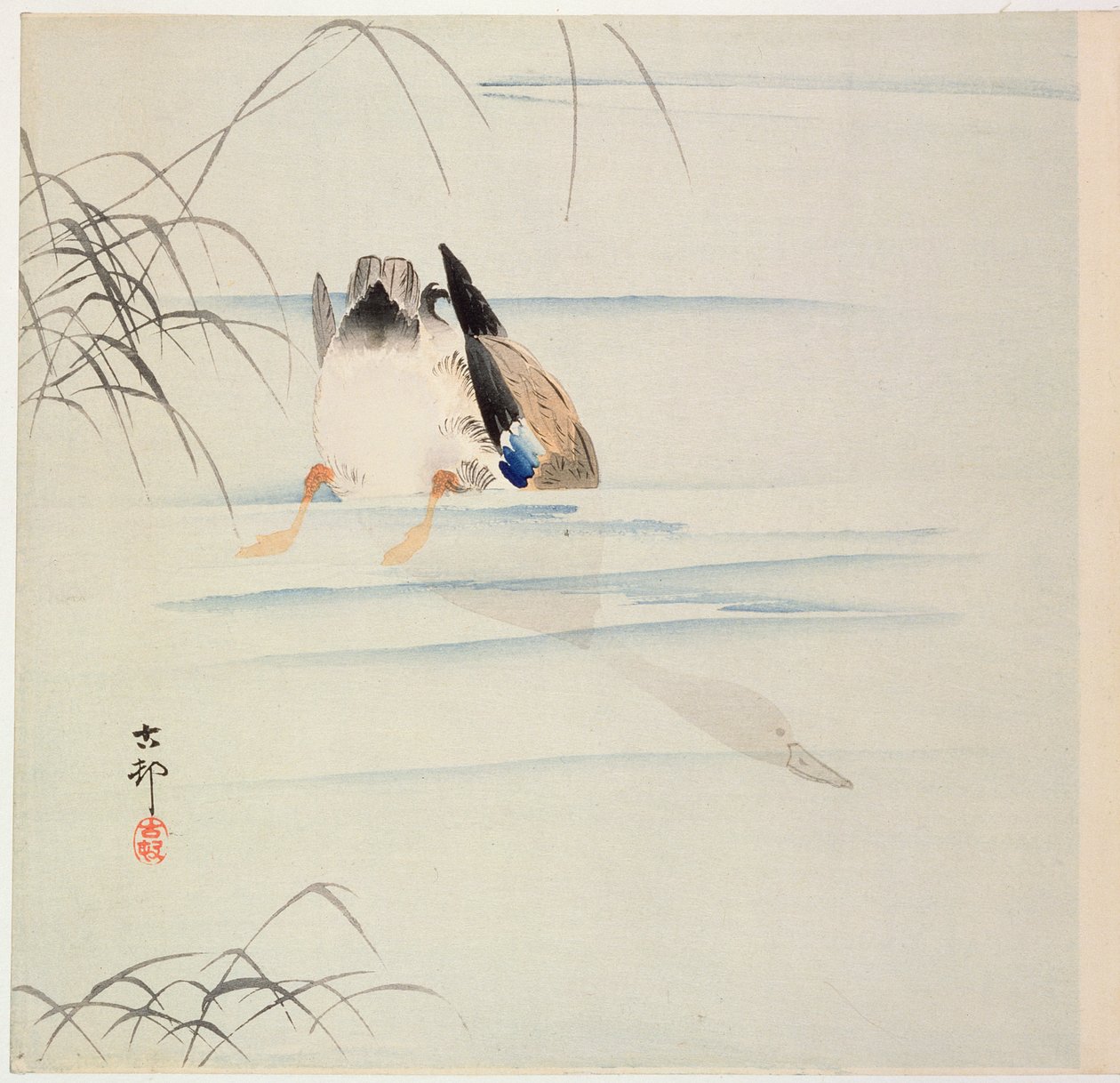 ダックダイビング、c。 1900年代初頭（カラー木版画） 作： 大原光子