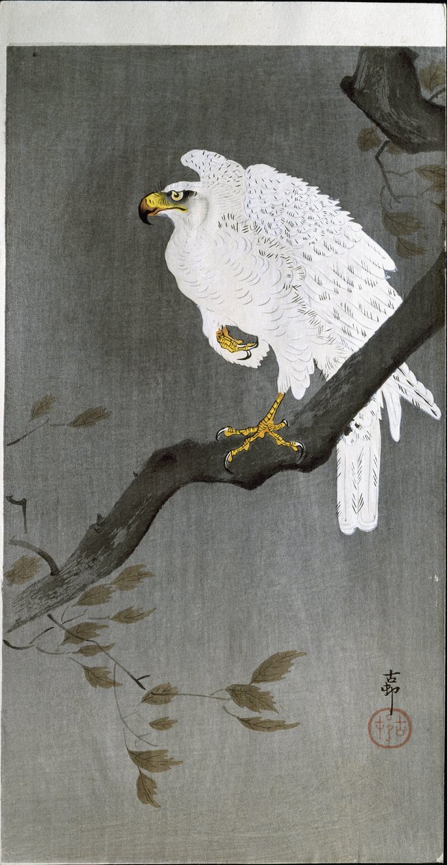 ブランチ上のファルコン、1907 作： 大原光子