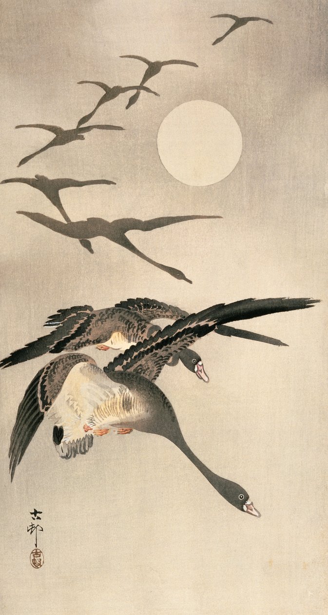 ガチョウと満月の飛行c。 1900年代初頭（カラー木版画） 作： 大原光子