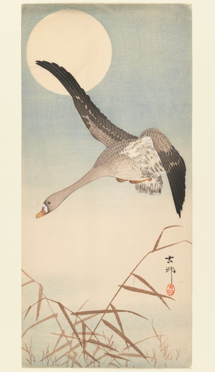 月明かりの下でのガチョウの飛翔、1910年頃（木版画） 作： 大原光子
