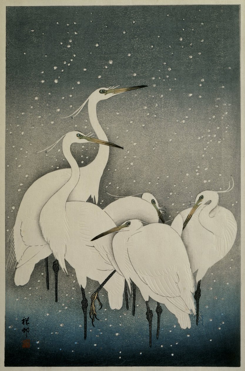 1925-36年のサギのグループ 作： 大原光子